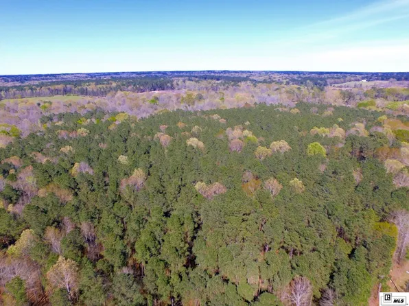 Tracts 1 & 2 Tucker Store Rd, Spearsville, LA 71277