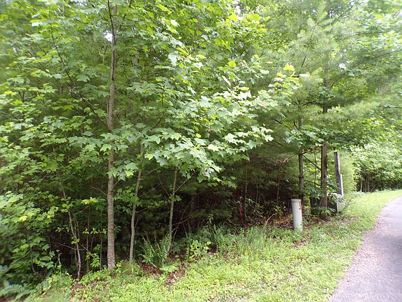 3rd image of Hemlock St