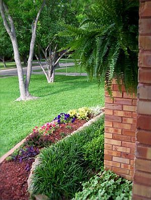 Front Yard Landscaping
