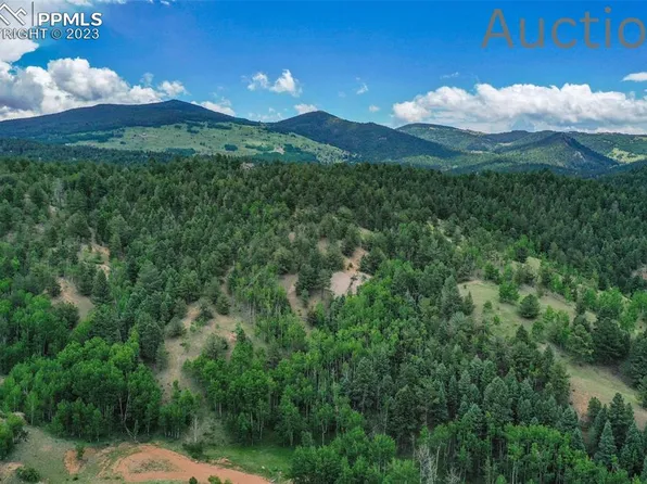 513 Last Dollar Dr, Cripple Creek, CO 80813