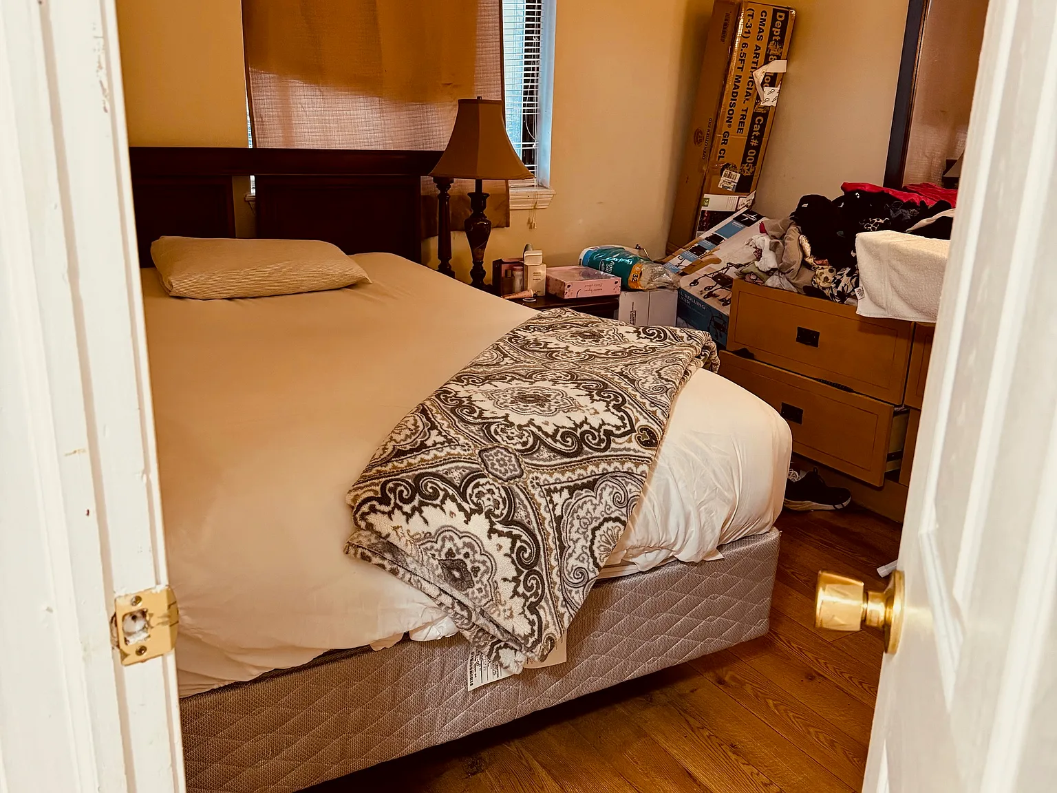 2 bed, 1000 sqft, $1,450 — Photo 3