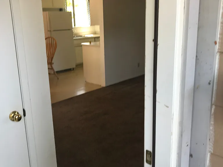 367 Park Ave #B — Photo 12
