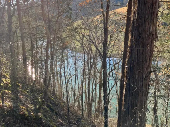 Paw Paw Rd, Sneedville, TN 37869