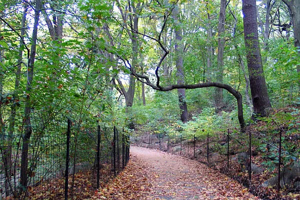 Rented by Lang Realty LLC | media 9