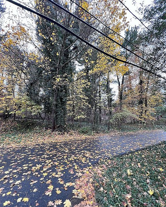 2nd image of Conestoga Rd