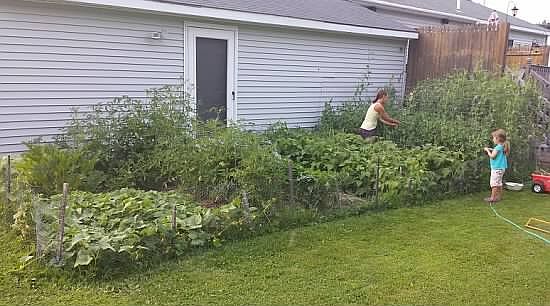 Organic garden