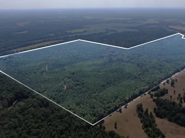 County Road 320, Big Creek, MS 38914