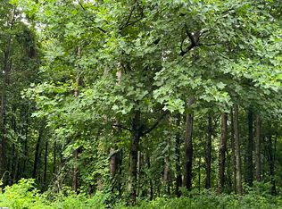 280 Foggy Cut Ln, Landrum, SC 29356