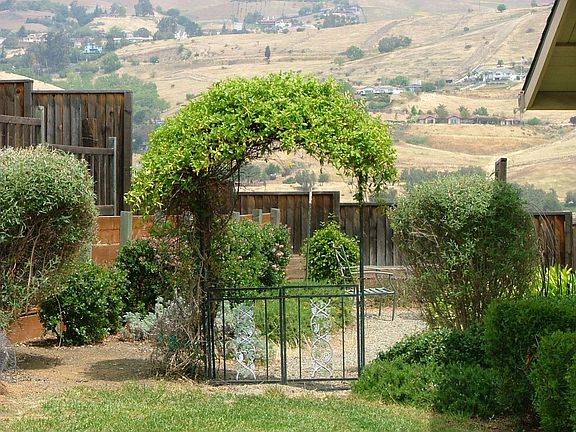 side yard-arbor