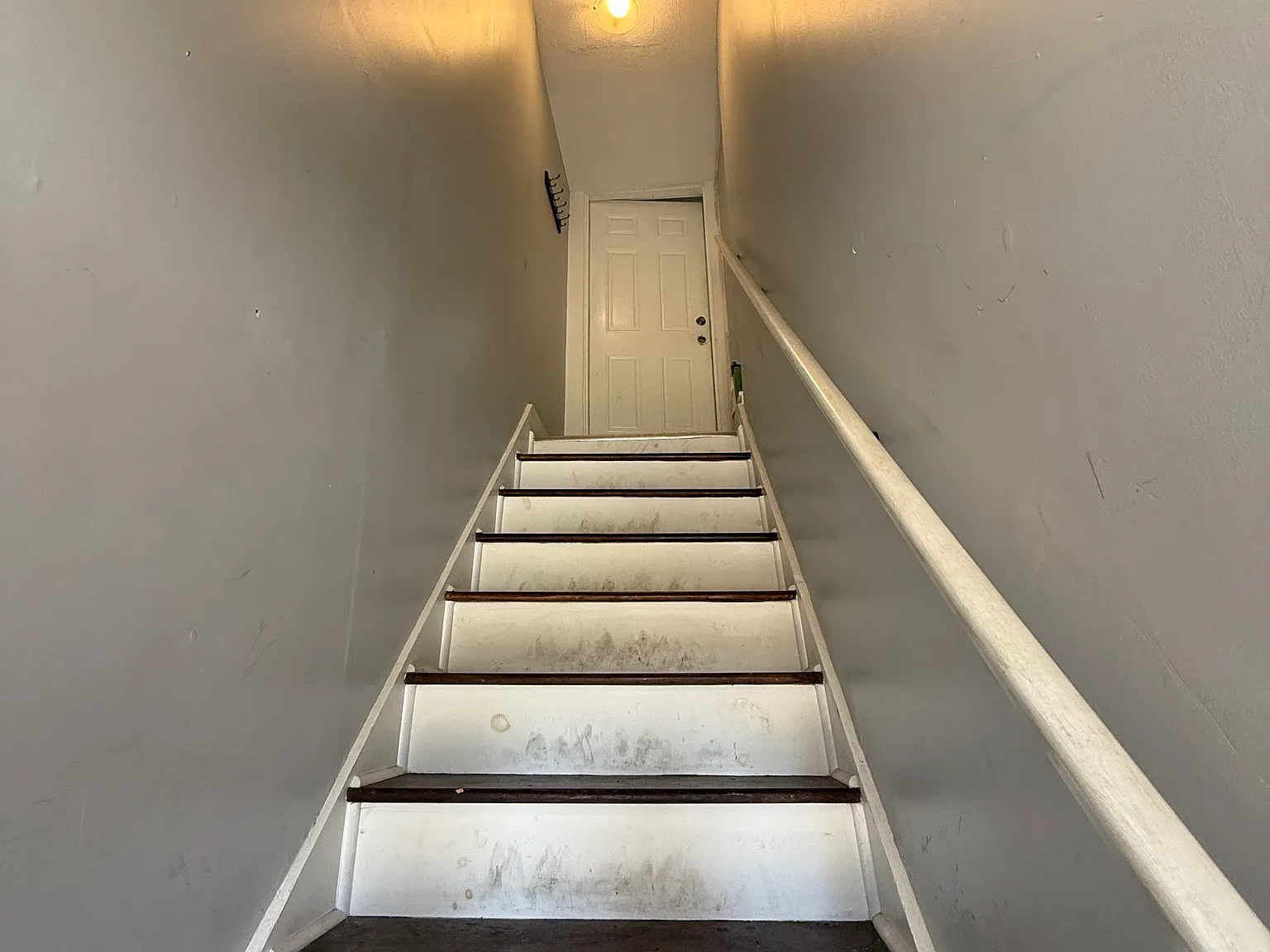 2 bed, 1240 sqft, $1,500 — Photo 4