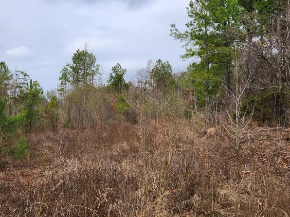 0 County Road 3212, Jefferson, TX 75657