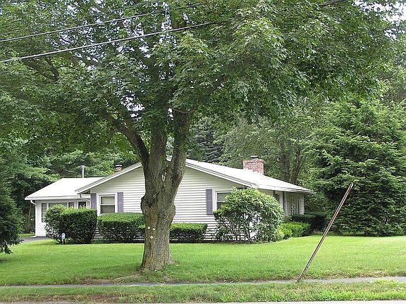 Tree in front yard.