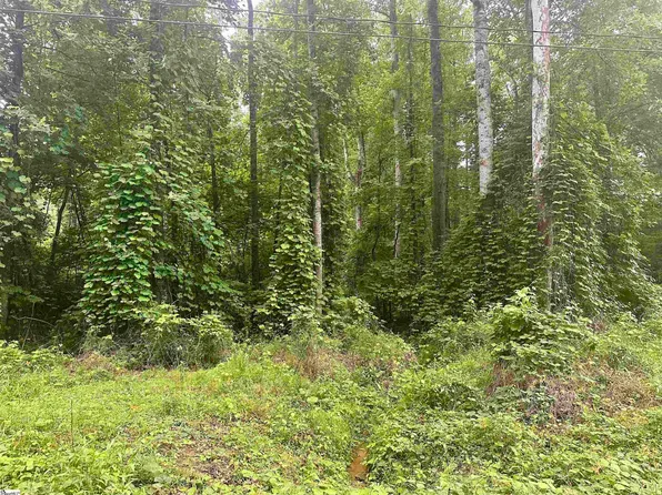 (undisclosed Address), Marietta, SC 29661