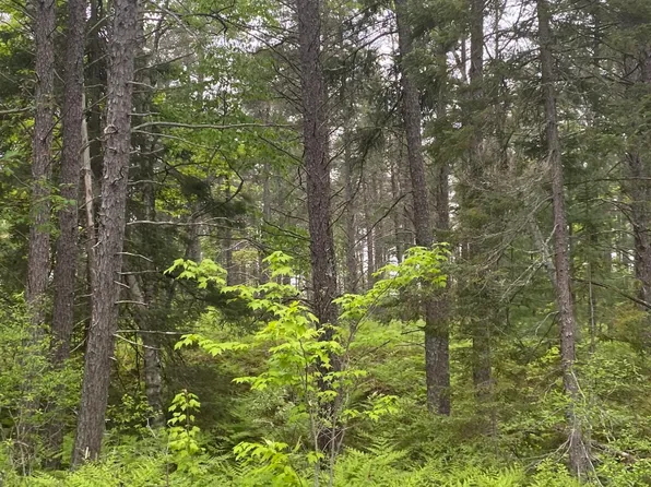 14221 N Whitefish Point Rd, Paradise, MI 49768