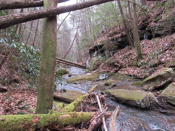 5th image of Cherokee Trl