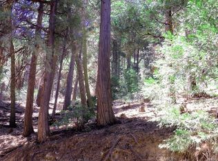 8 Mojave River Rd, Cedarpines Park, CA 92322