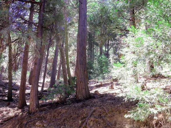 8 Mojave River Rd, Cedarpines Park, CA 92322