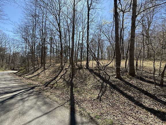 3rd image of 0 Brigham Branch Rd