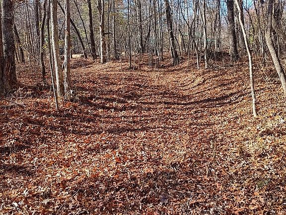 4th image of LOT 19 Cross Dr