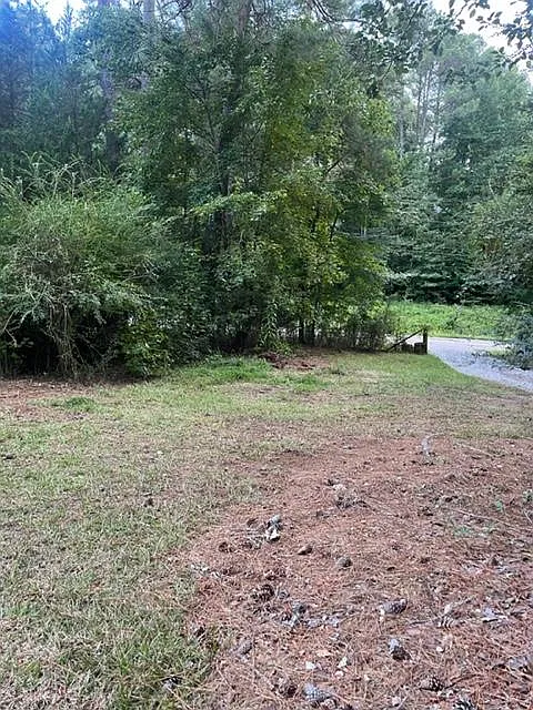 1 bed, 810 sqft, $1,325 — Photo 4