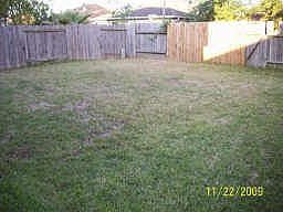 Nice Size Backyard View