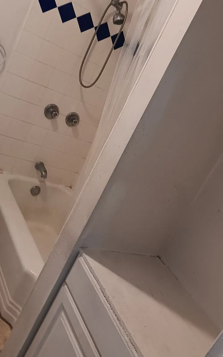 2 bed, 900 sqft, $1,350 — Photo 4