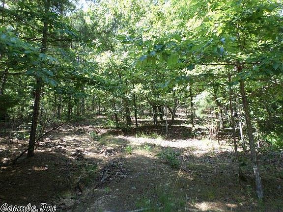 2nd image of Brush Mountain Trl Lot 29
