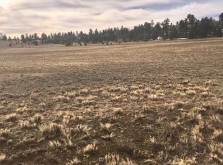 3817 Goldenburg Canyon Rd, Hartsel, CO 80449