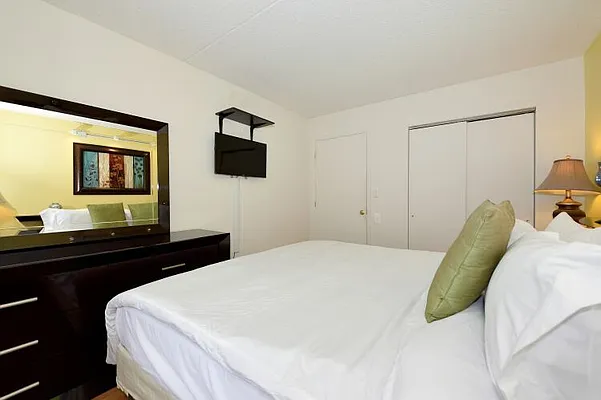 Rented by Eisenberg Exclusives | media 39