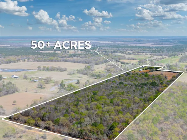 48 County Road 2360, Bagwell, TX 75412