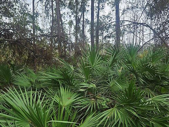 5th image of (Undisclosed Address)