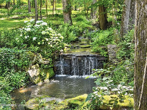 5th image of 55 County Road 171
