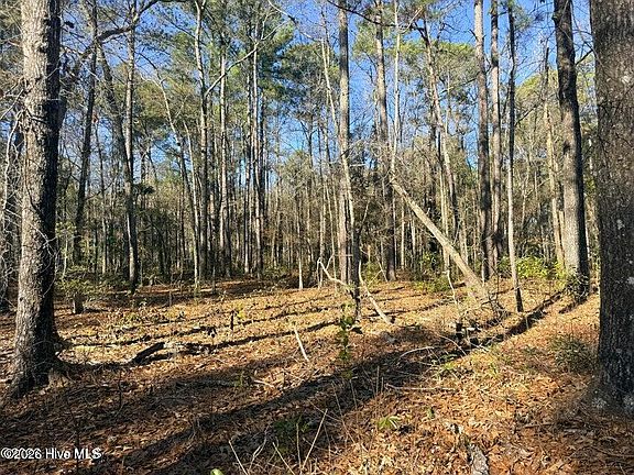 3rd image of Lot 4 Peach Court