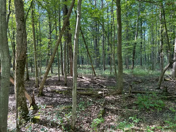 3100 W Isabella Rd, Shepherd, MI 48883