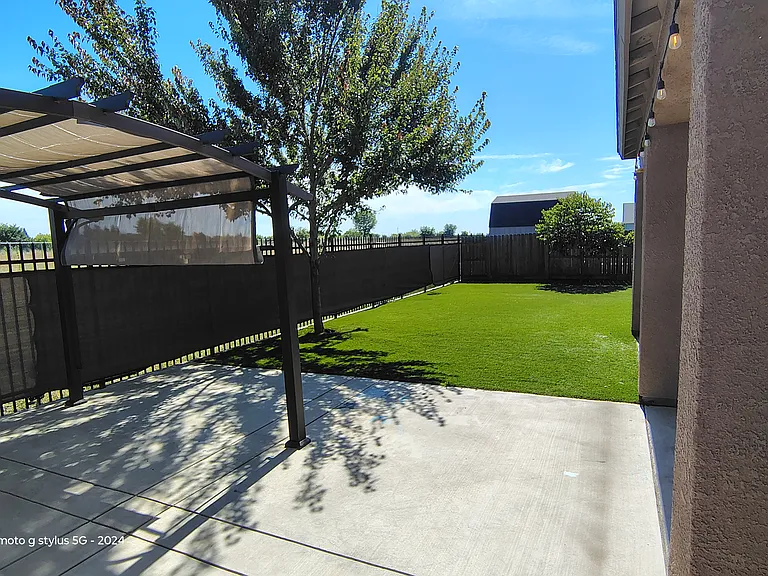 Back yard