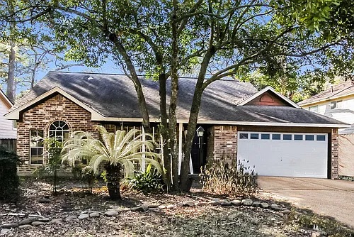 24 S Rain Forest Ct Photo 1