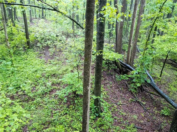 6874 County Line Rd #3.75, Lula, GA 30554