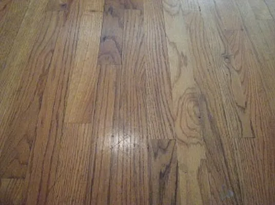 Rented by Cooper & Cooper Real Estate | media 10