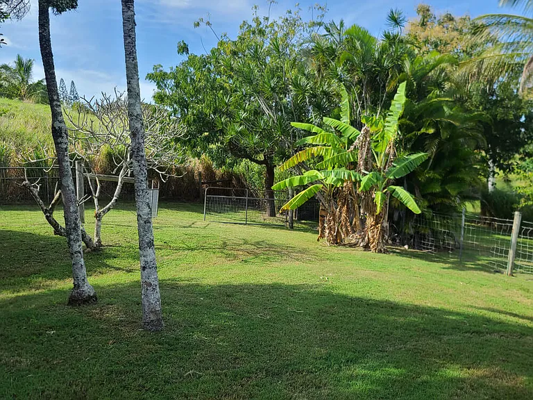 Kahawai Rd — Photo 10