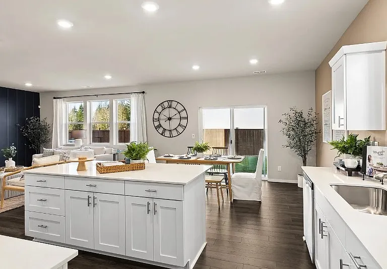 Builders inspiration images, kitchen & living. Backyard is not the actual backyard.