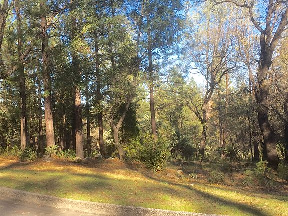 2nd image of 1346 Shady Tree Ln