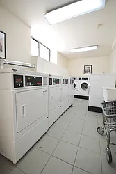 Rented by Bold New York