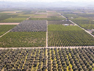  Avenue 204/Road 204, Lindsay, CA, 93247