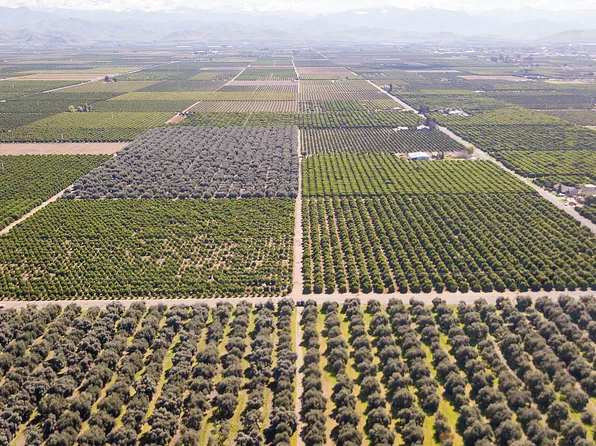 Avenue 204/Road 204, Lindsay, CA 93247