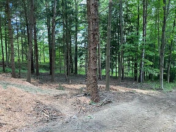 5th image of Vacant Lot Blakeley Road Aurora