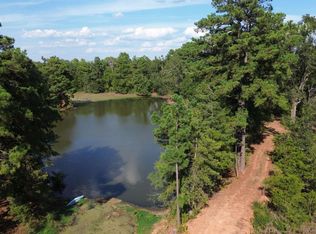 S Tract Fm 1662 #-w, Laneville, TX 75667