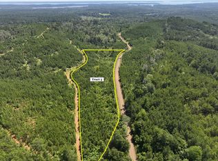 5 Carters Ferry Rd E, Milam, TX 75959