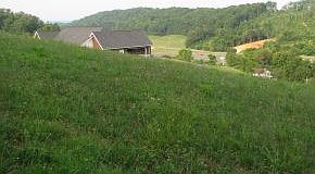 4th image of Westfield Dr