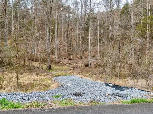1367 Bruner Grove Rd, Bybee, TN 37713