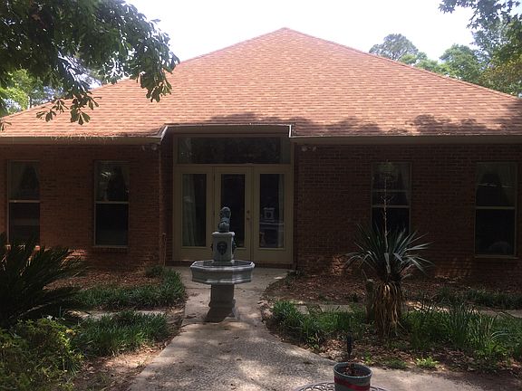 Back view